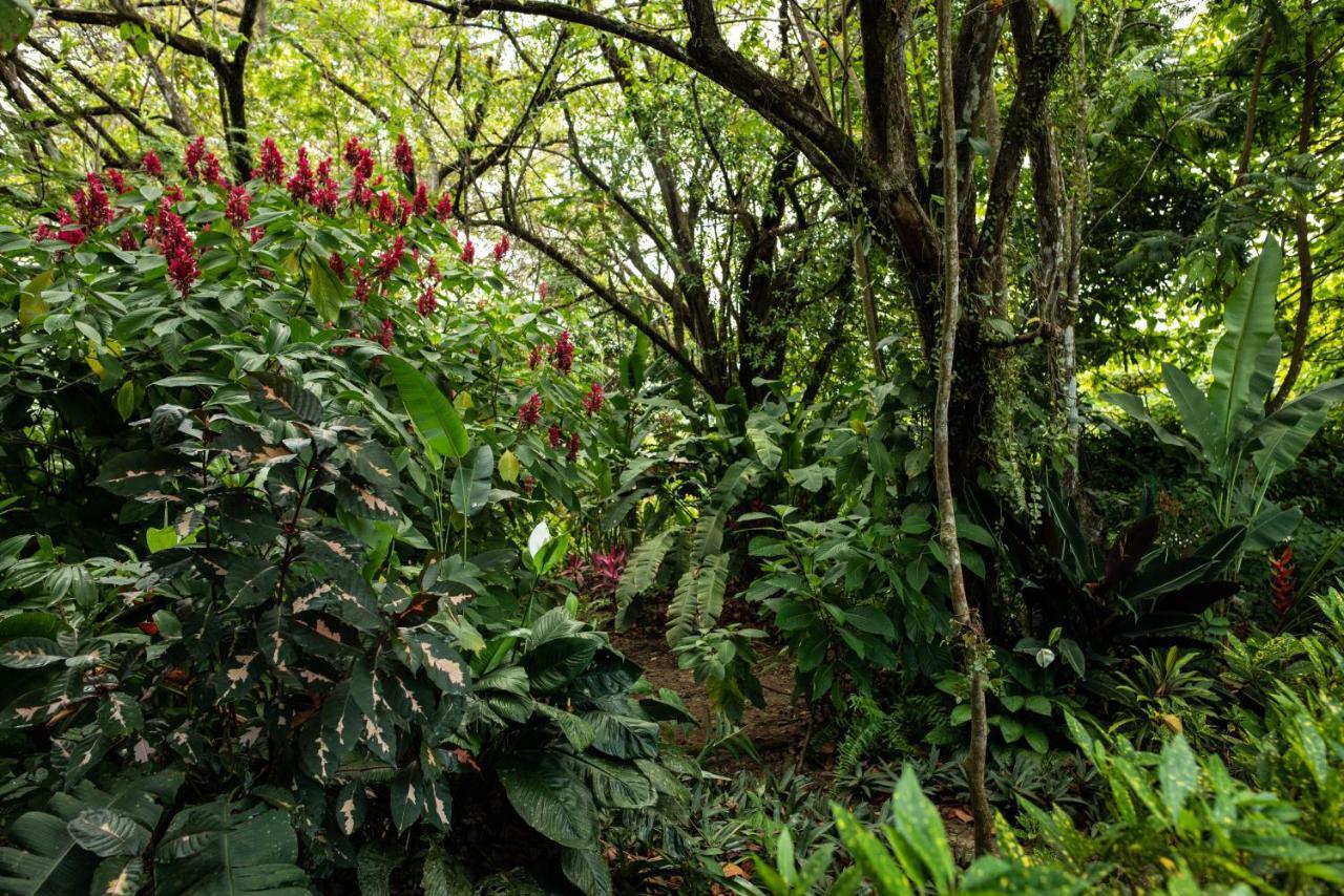 Las Brisas Del Sur أوخوتشال المظهر الخارجي الصورة