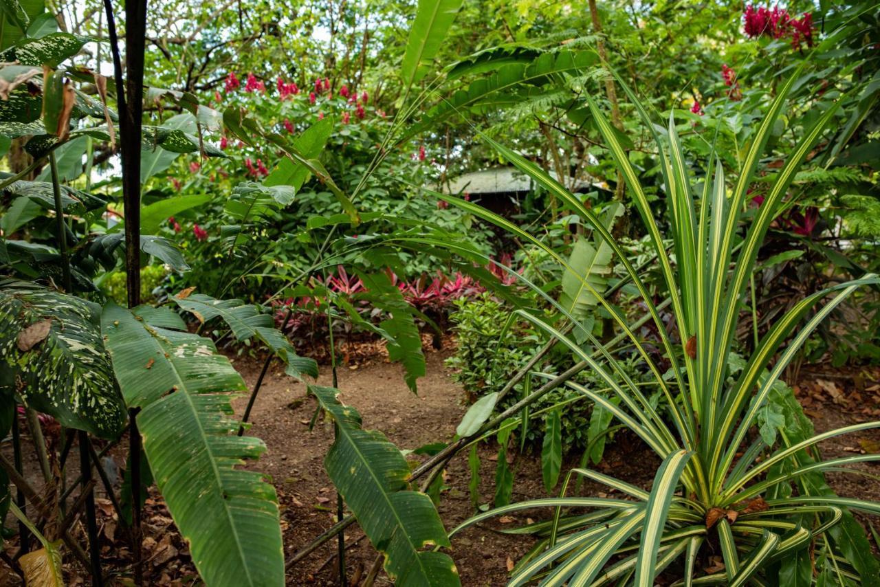 Las Brisas Del Sur أوخوتشال المظهر الخارجي الصورة