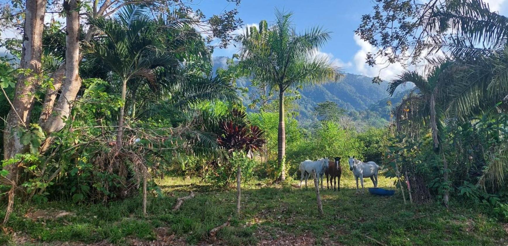 Las Brisas Del Sur أوخوتشال المظهر الخارجي الصورة