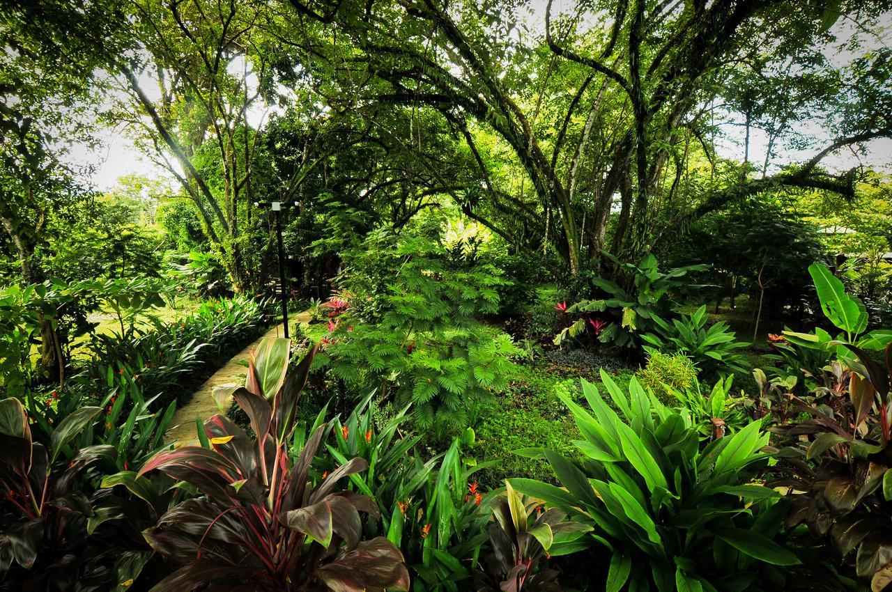 Las Brisas Del Sur أوخوتشال المظهر الخارجي الصورة